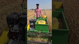 🌾 Amazing Desi Jugaad for Paddy Stem Cutting | Smart Farmer Innovation 🚜 ok #paddy #paddycultivation