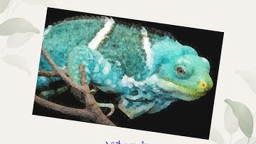 Hiệu ứng thú vị với OpenCV