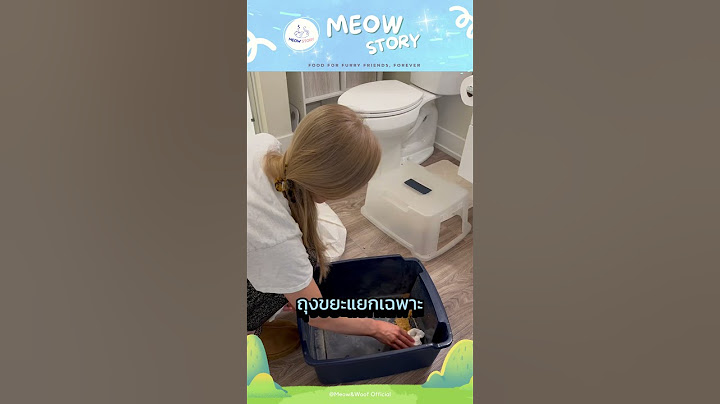 เทคนิคทำความสะอาดกระบะทรายแมว