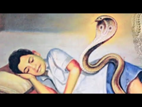 ஆன்மீக-குரு-பங்காரு-அடிகளாரின்-கதை-|-biography-of-bangaru-adigalar-amma