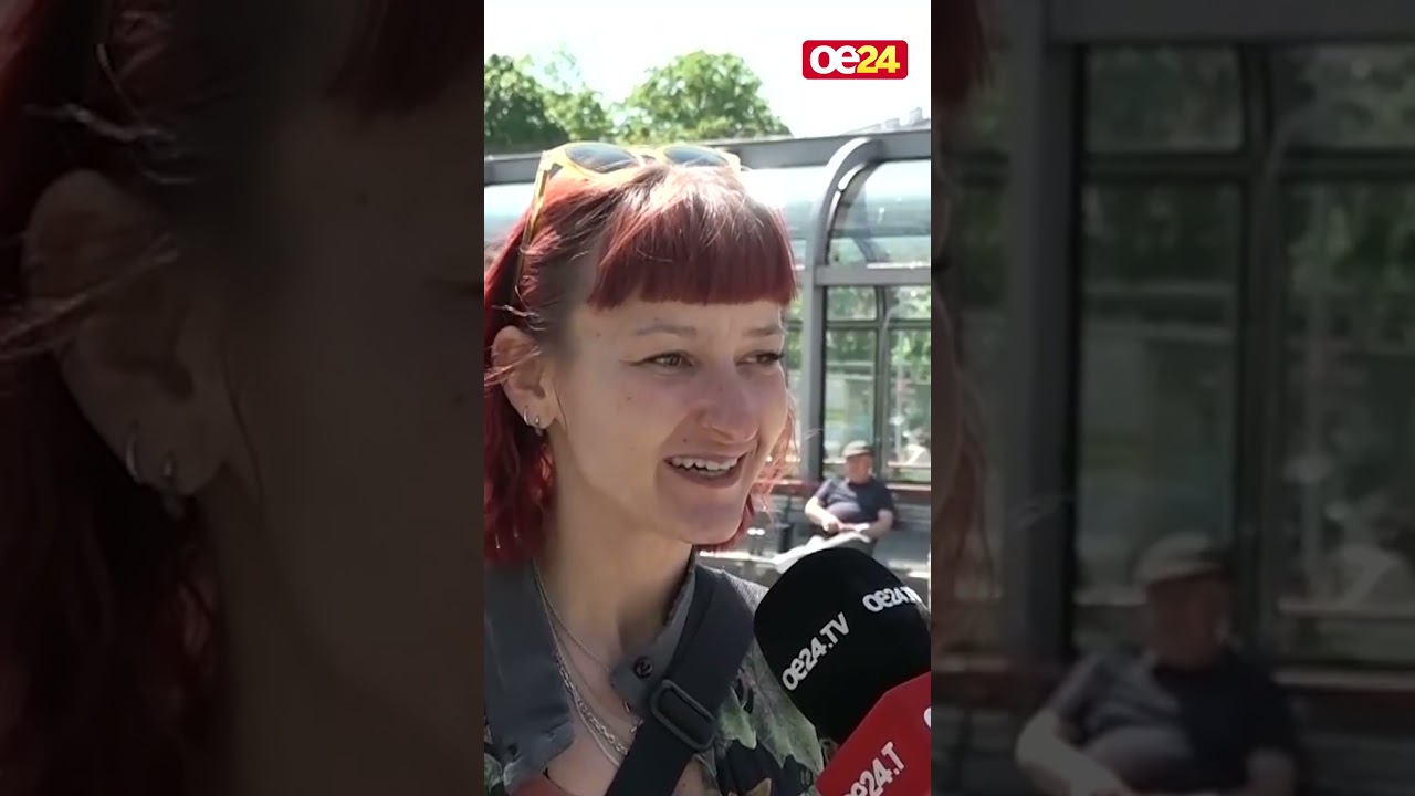 Wen wählen die Wiener und warum? | Wien-Wahl Straßenumfrage