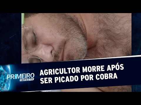 Vídeo: Alguém já morreu de mordida de cobre?