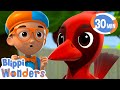 Blippi Wonders | Learning Birds and Animals + More! | Blippi Animated Series | Cartoons For Kids