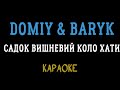 DOMIY BARYK Садок вишневий коло хати мінусовка караоке мінус інструментал