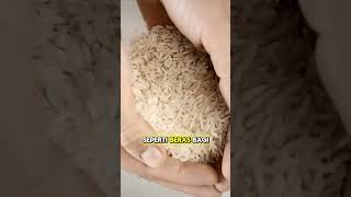 Kenapa Nyamuk Menghisap Darah