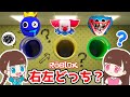 右左どっち？アタリとハズレの土管を進むロブロックス【Roblox】- はねまりゲームズ