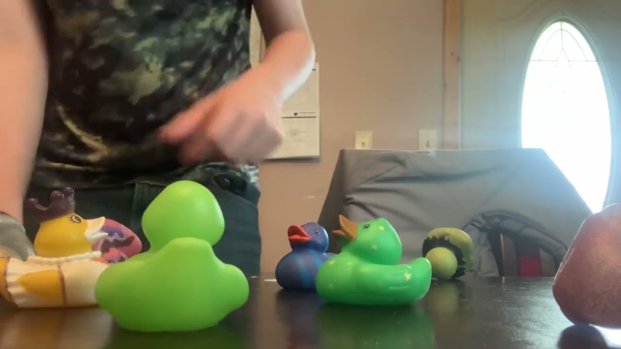 Duck bully story, season one episode one ￼