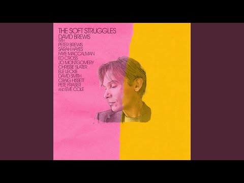 David Brewis — Surface Noise