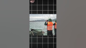 Tàu cá chìm khi vào bờ tránh bão số 15! 3 ngư dân mat tich #shorts