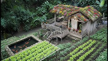 Full part 1,2,3,4. 365 days to build a house in the forest, away from the noise of the city.