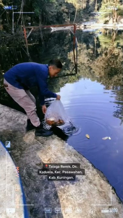 #talagaremis #shortvideo #wisatakuningan #wonderfulkuningan