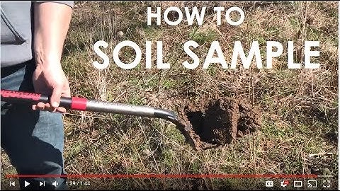 Food Plot Soil Sample - How To Test Your Soil