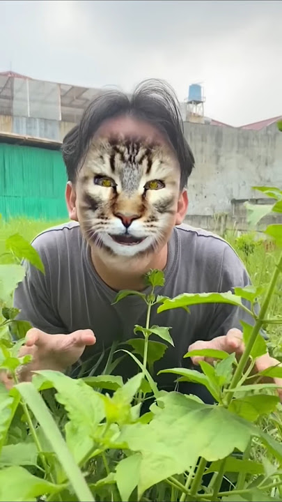 ASMR AMERICA'S 🍶🫗💡😲 ORIGINAL DUBBLE BUBBLE GUM (3 FRUIT FLAVORS) AND... part3