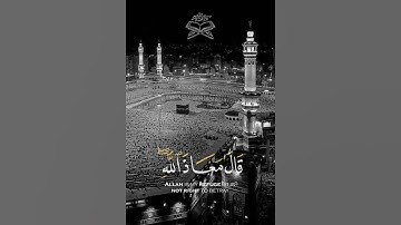 تلاوة خاشعة 🤍🤍🤍 سعد الغامدي