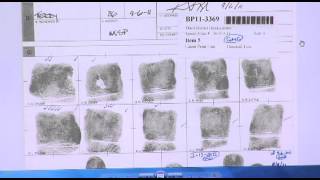 Experts testify in Bluew trial