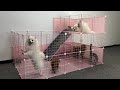 How to make play area for pomeranian puppies  kitten at home ideas  diy dog cat house  mr pet 55