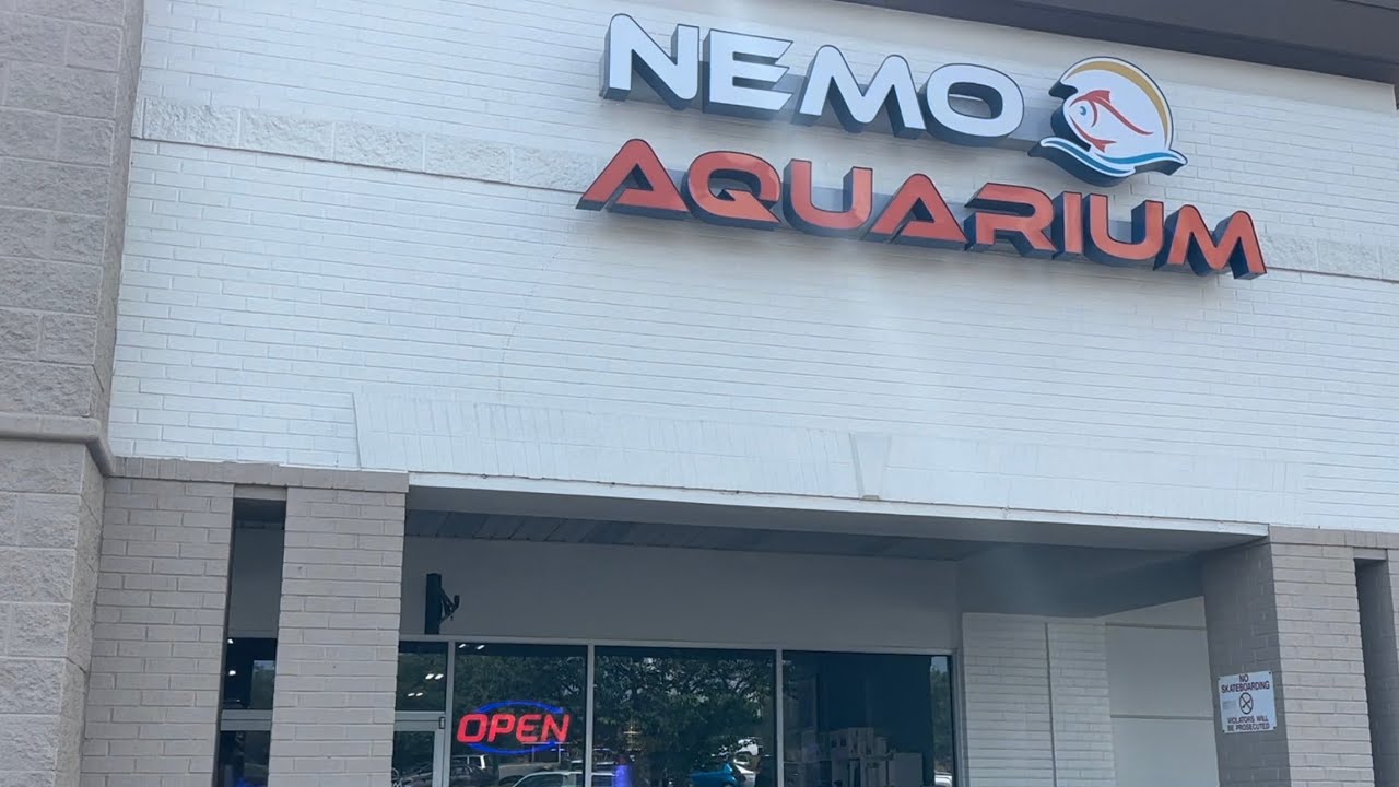 Local Fish Store Tour SupportYourLFS YouTube