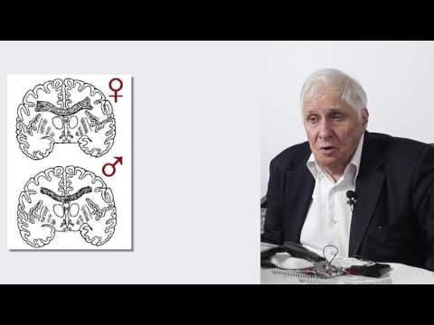 Mózg męski i mózg żeński – Neurobiologia seksu, Jerzy Vetulani