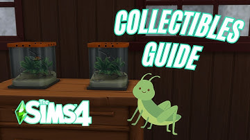 🐜🦋 How to Collect Insects (Sims 4 Collection Guide)
