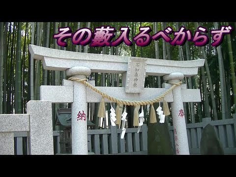 入ったら出られない伝説の禁足地「八幡の藪知らず」に行ってみた