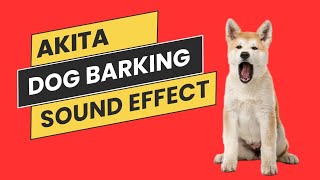 Akita Barking with Simple Techniques