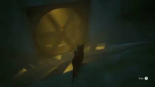 videogamedunkey! Stray (catview)