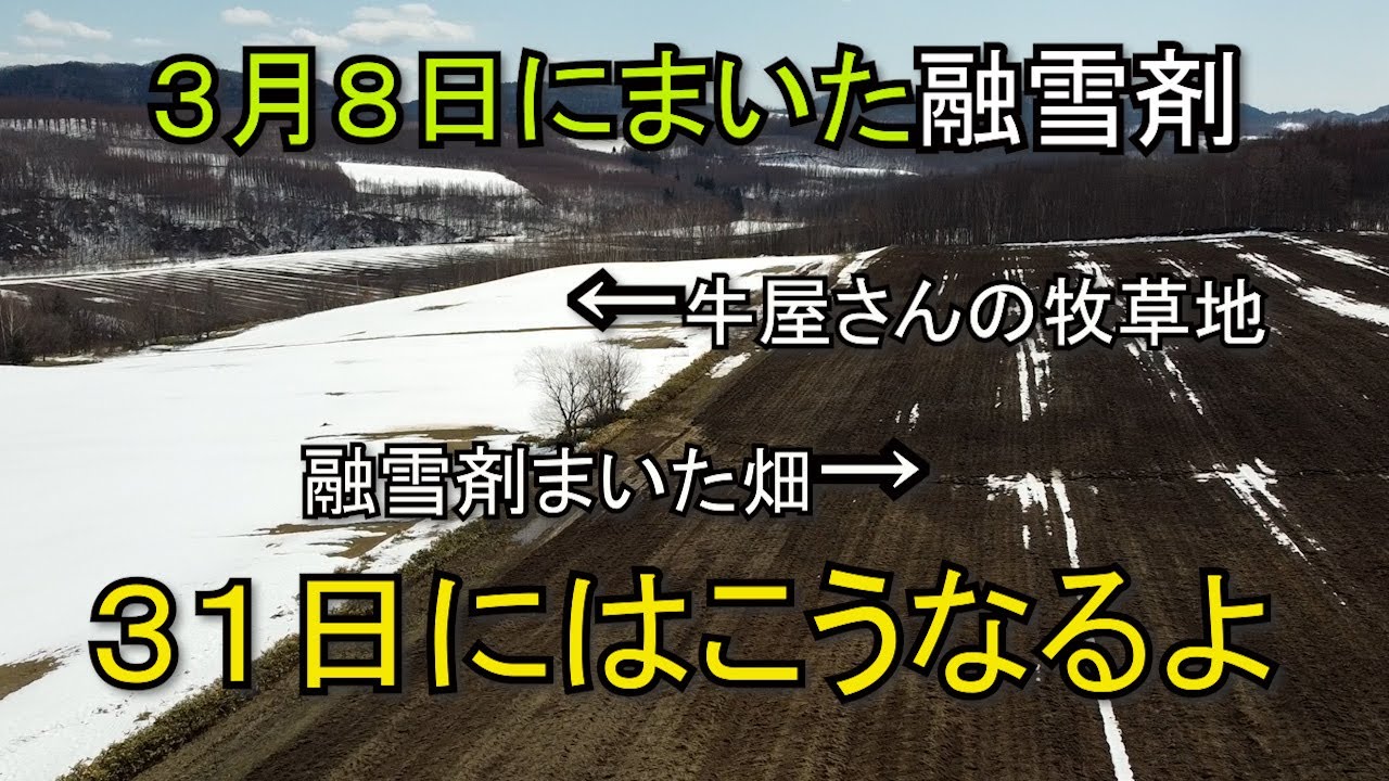 融雪剤はやっぱりスゴイ