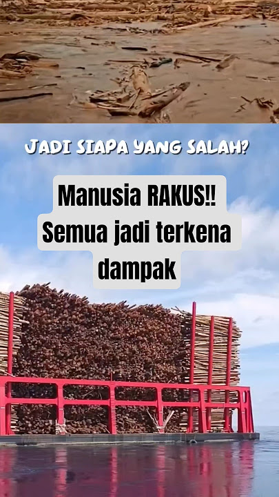 Every month, tons of wood are shipped to Sumatra, and this is what causes flooding.