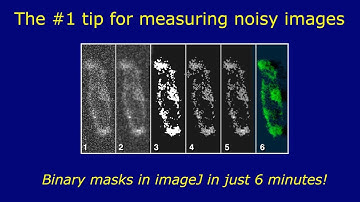 Measuring noisy images using binary masks in ImageJ