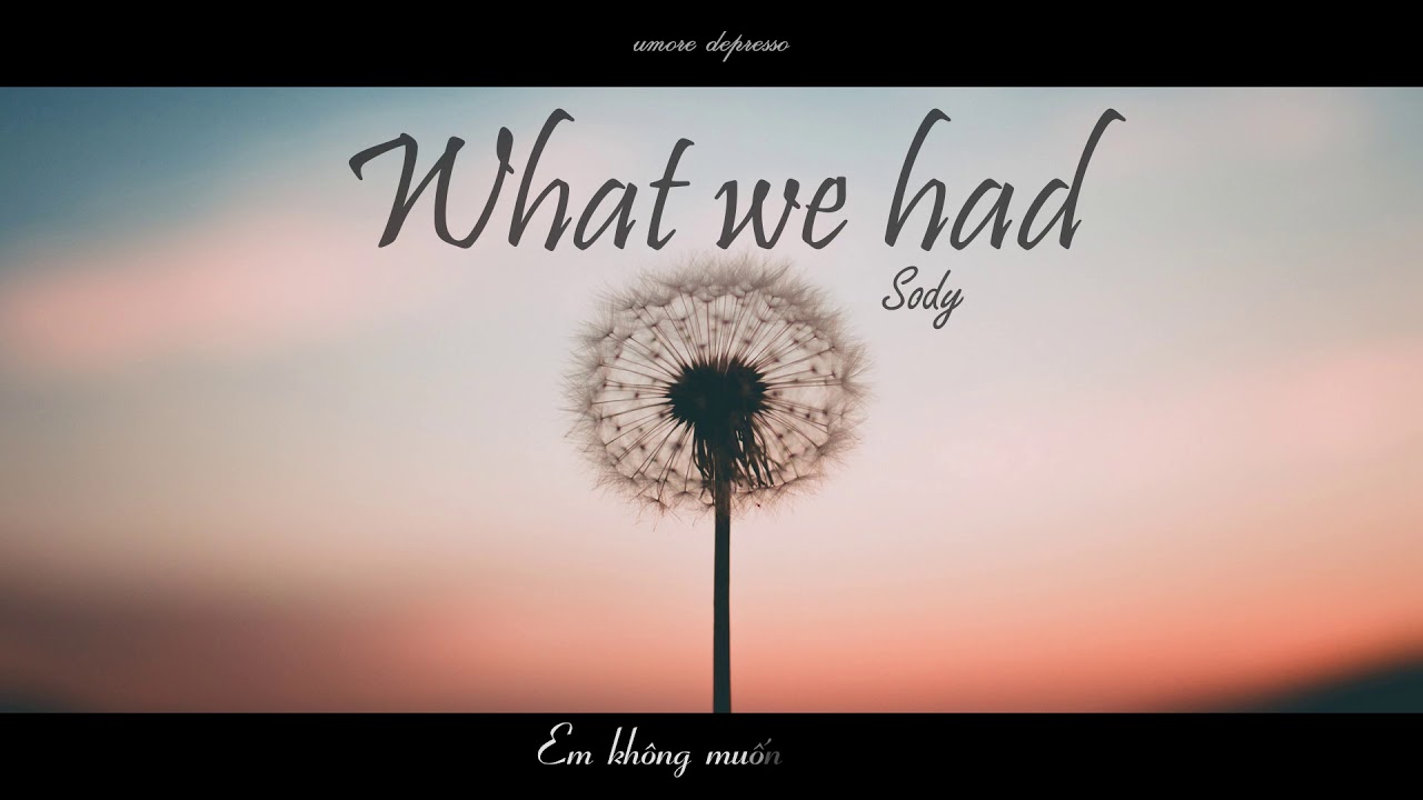 [Vietsub] What We Had - Sody