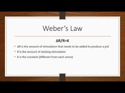 Weber’s Law