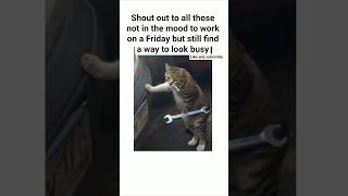 Happy Friday everyone #homestead #funny #work #friday