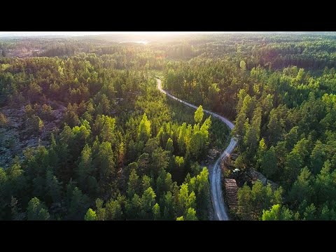 Video: Vad orsakar kolflöde?