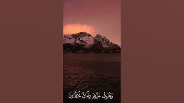 عـينًا فـيها تـسمـى سلـسبـيلا | القـارئ محـمد اللـحيـدان#القرآن #اسلاميات #تلاوة_خاشعة #تلاوة #خشوع