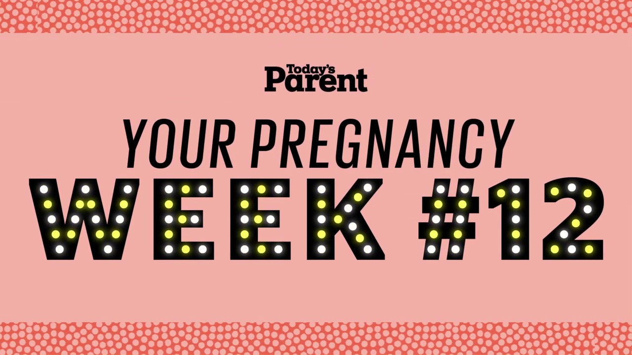 your-pregnancy-12-weeks-youtube