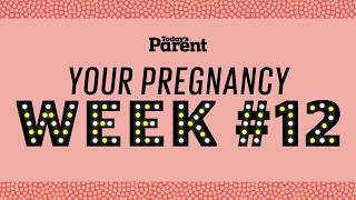 Your pregnancy: 12 weeks
