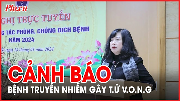 Năm 2023 việt nam có bao nhiêu người tử vong năm 2024