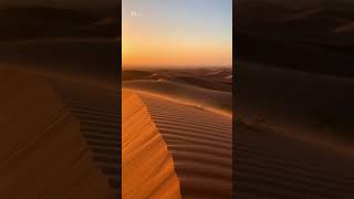 Sand Bing image creator Sand Bing image creator