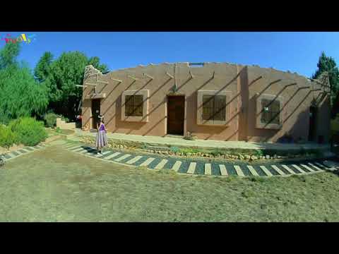 يا صغيره يا حبي سجى حماد