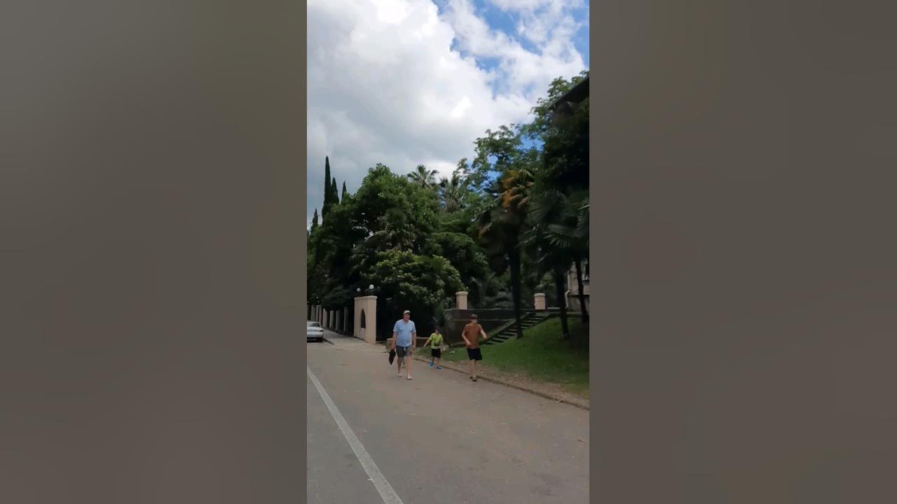 Абхазия дорога в Гагры