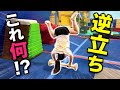 新アイテムを渡したらカエルになりました。