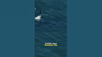 Do you know why Russian submarines have windows and American submarines do not. #documentary