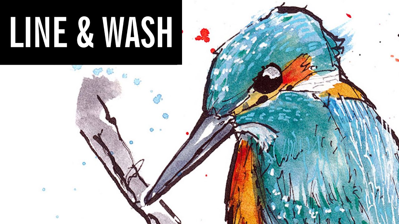 LINE AND WASH KINGFISHER - Loosing FOUNTAIN PEN Sketching and Colour
