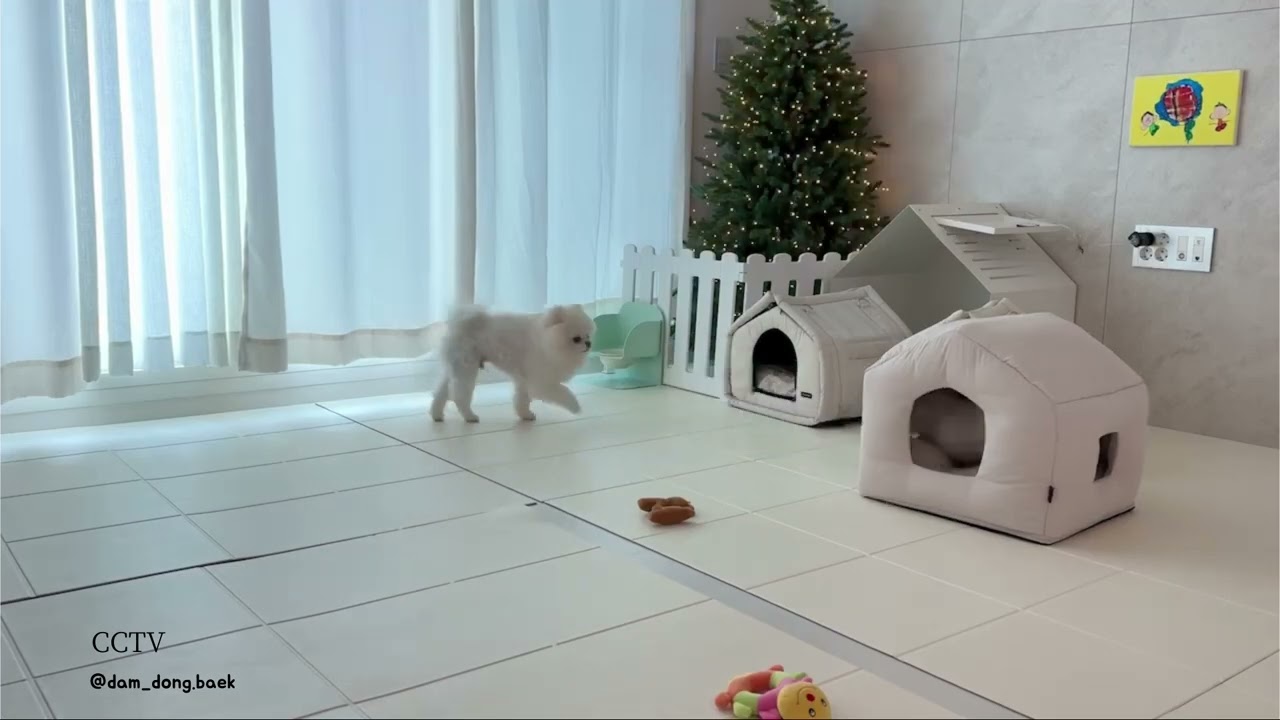 SSOOOK プレイハウス [SO-HS010] BEIGE Lサイズ