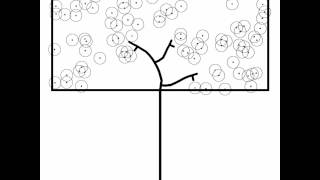 space colonization algorithm