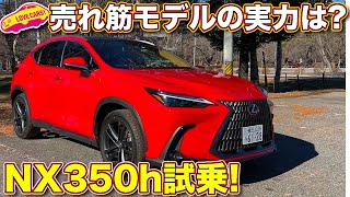 レクサス新型NX350h 、売れ筋モデルの実力はいかに？　ラブカーズTV 河口まなぶ が試乗レビュー！