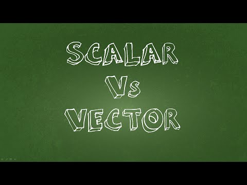 Video: What Are Scalars