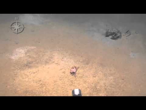 deep blue sea 3 Almeria Canyon Biology | Nautilus Live