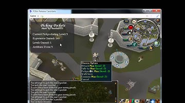 RSBot Script - Picking Pockets - Made By Me
