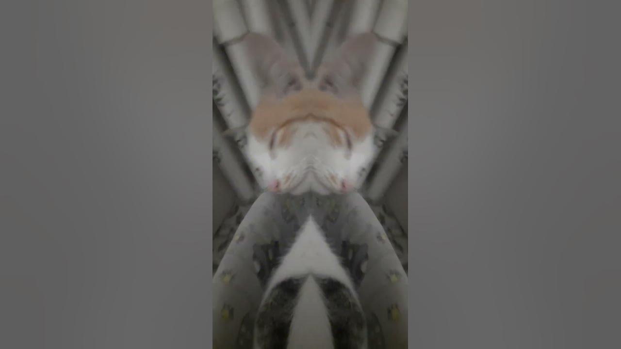 бархатный шнур - YouTube